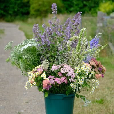 Large buckets of flowers and foliage - Picked by us