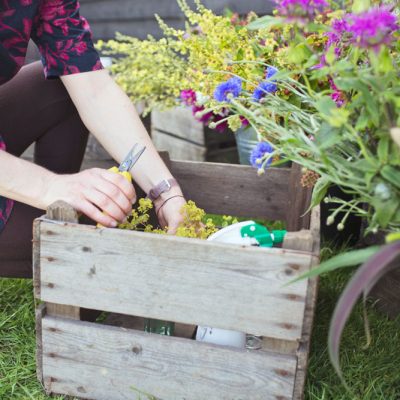 Sustainable and Eco-friendly Floristry Workshop