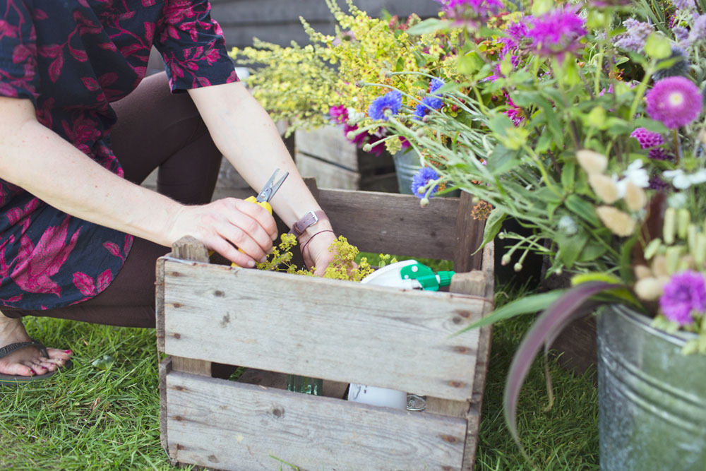 Sustainable and Eco-friendly Floristry Workshop