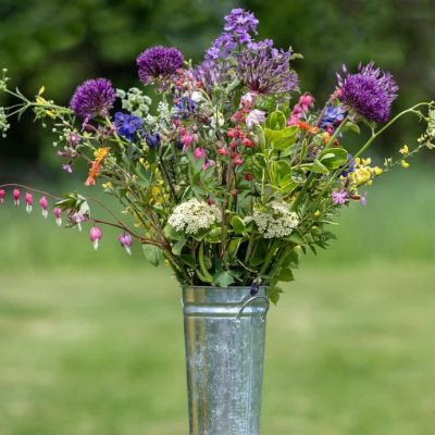 Pick Your Own Flowers – By Appointment