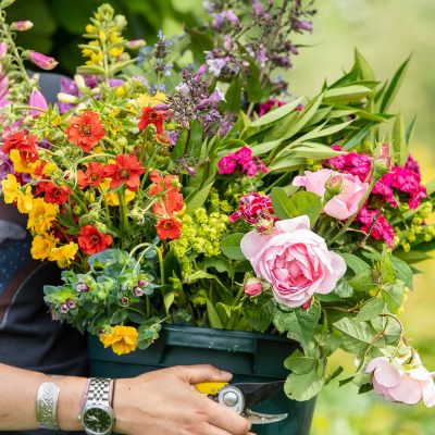 Large buckets of flowers and foliage - PYO Appointment