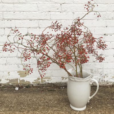 SOLD OUT Rosehip bough tops