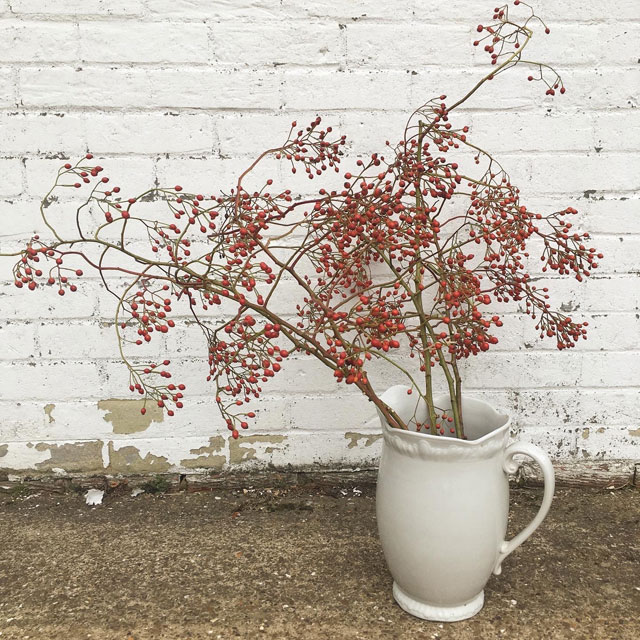 SOLD OUT Rosehip bough tops