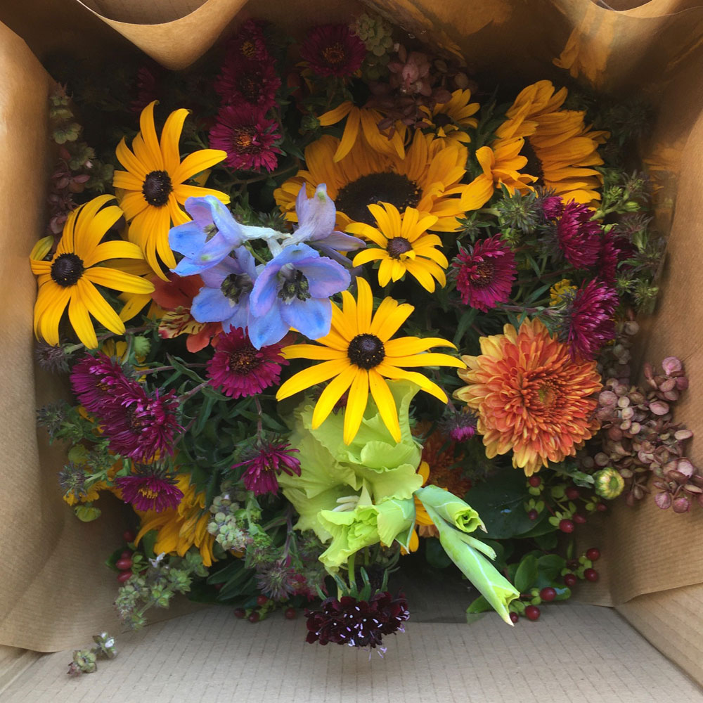 Seasonal Bouquet of Flowers & Foliage