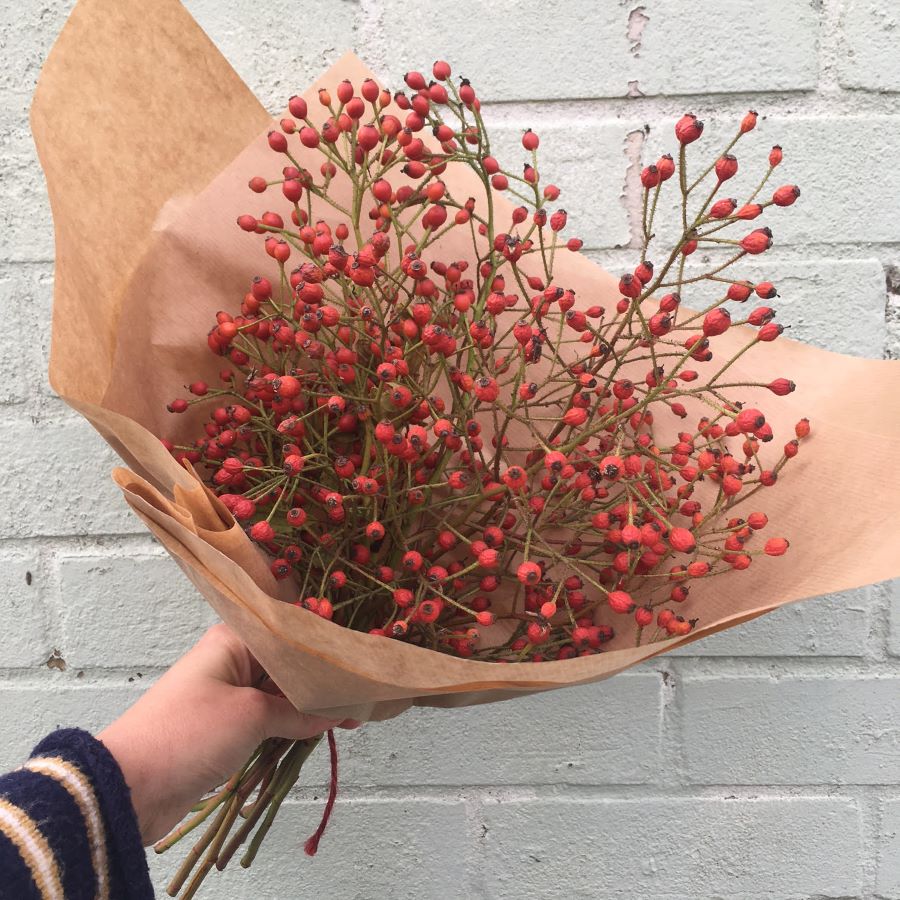 SOLD OUT Rosehip bunch