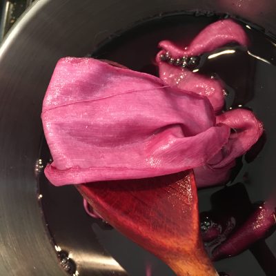Fabric Dyeing with Plants & Flowers Workshop