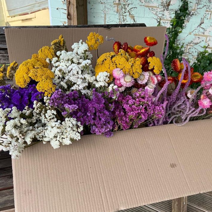 Bumper Box of Dried Flowers - Image 3