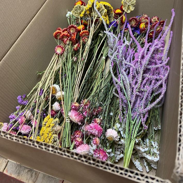 Bumper Box of Dried Flowers